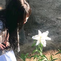 娱圈接瓜侠